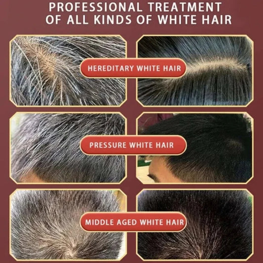 5 Minutes Pure Natural Herbal Hair Dye Shampoo - Petti’s Natural Boutique
