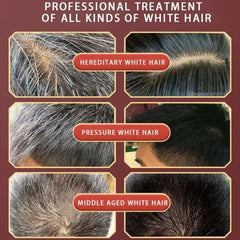 5 Minutes Pure Natural Herbal Hair Dye Shampoo - Petti’s Natural Boutique